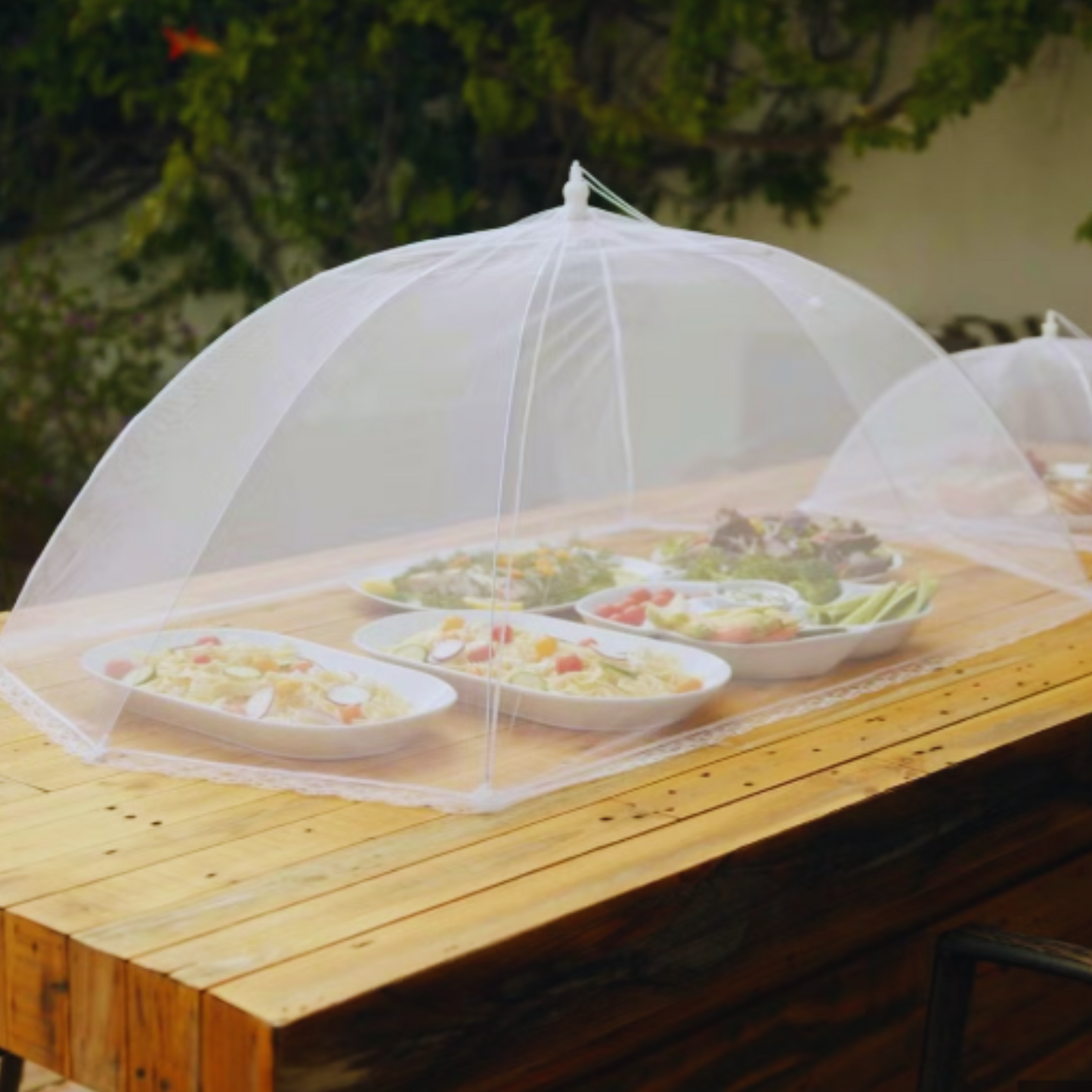 Mesh Compact Food Cover