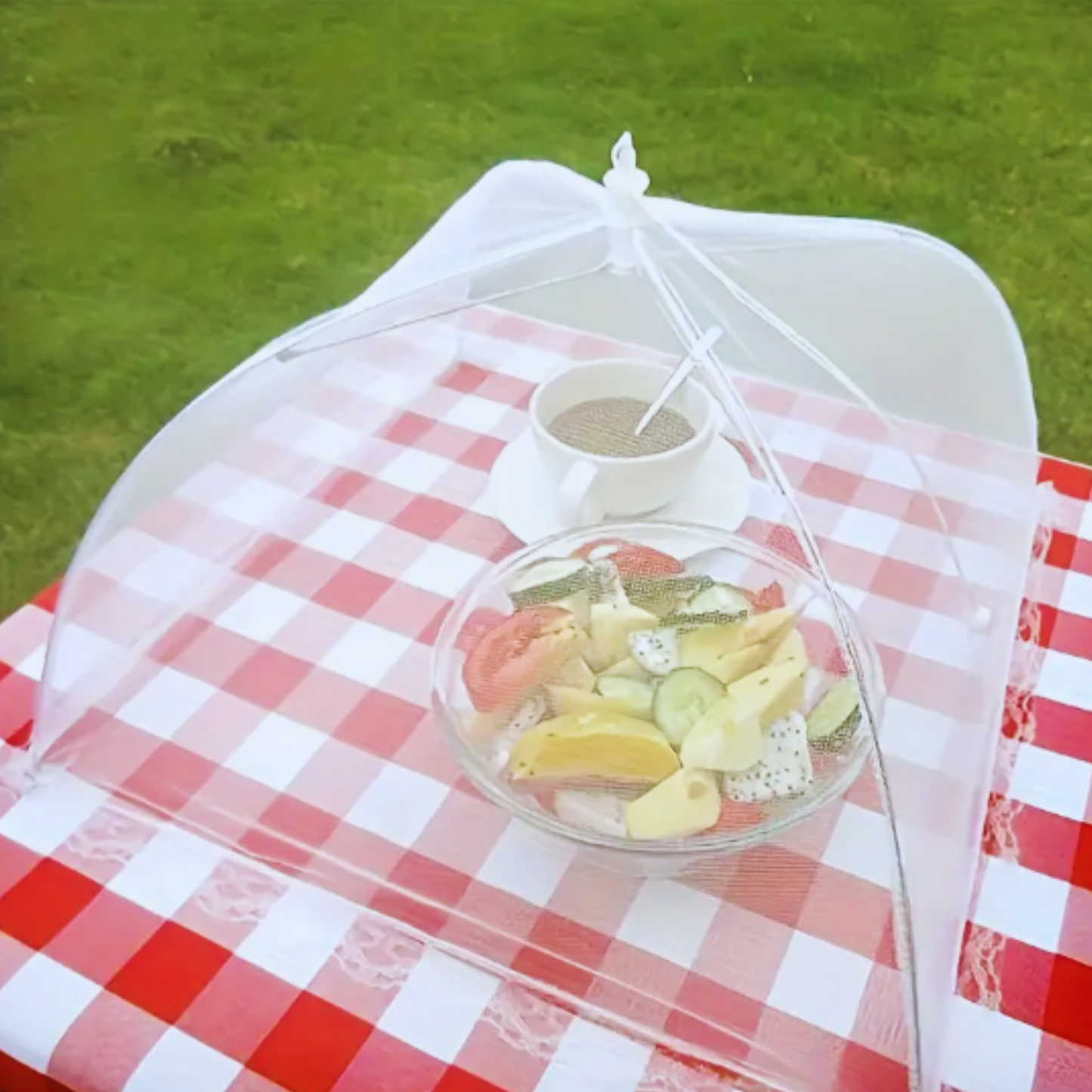 Mesh Compact Food Cover