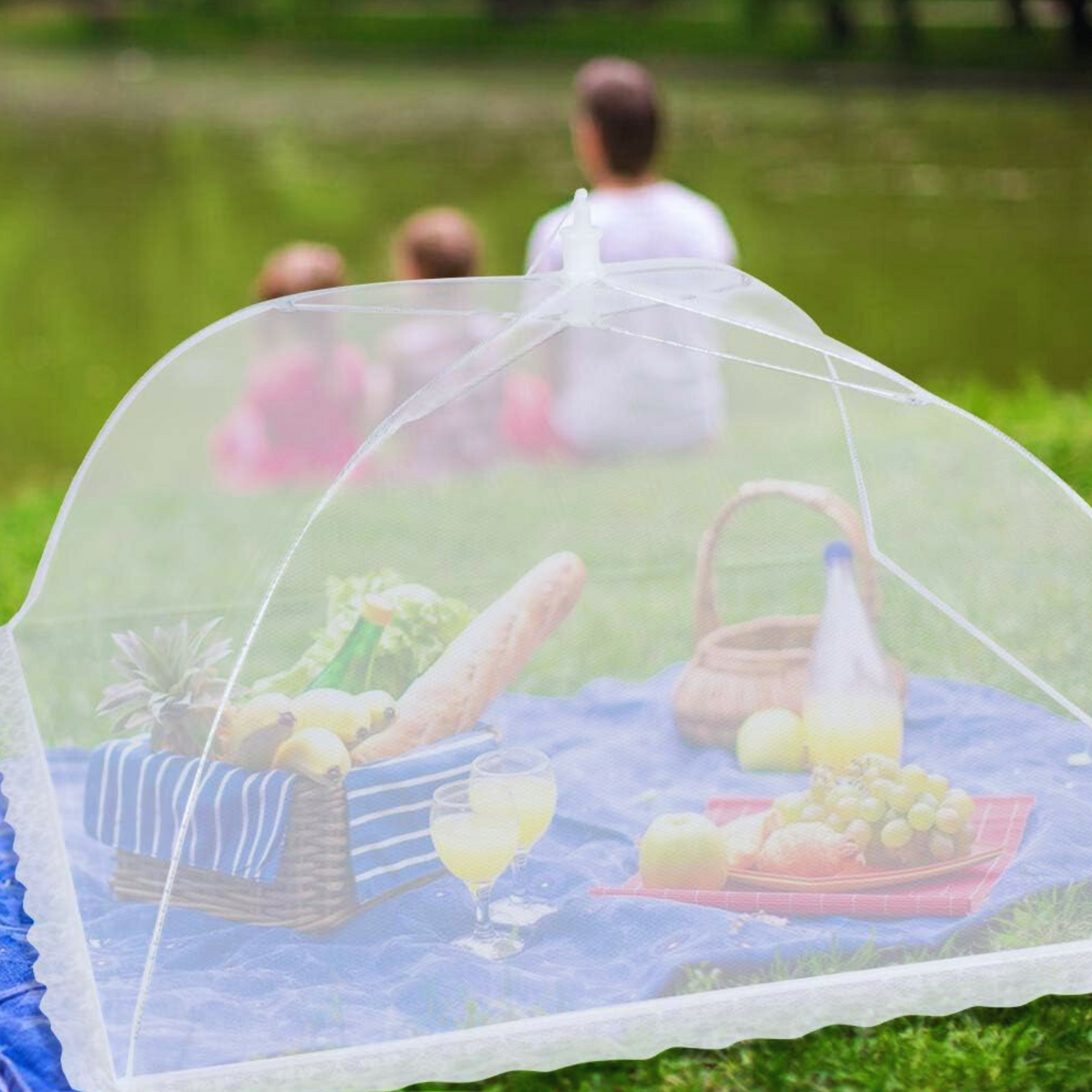Mesh Compact Food Cover