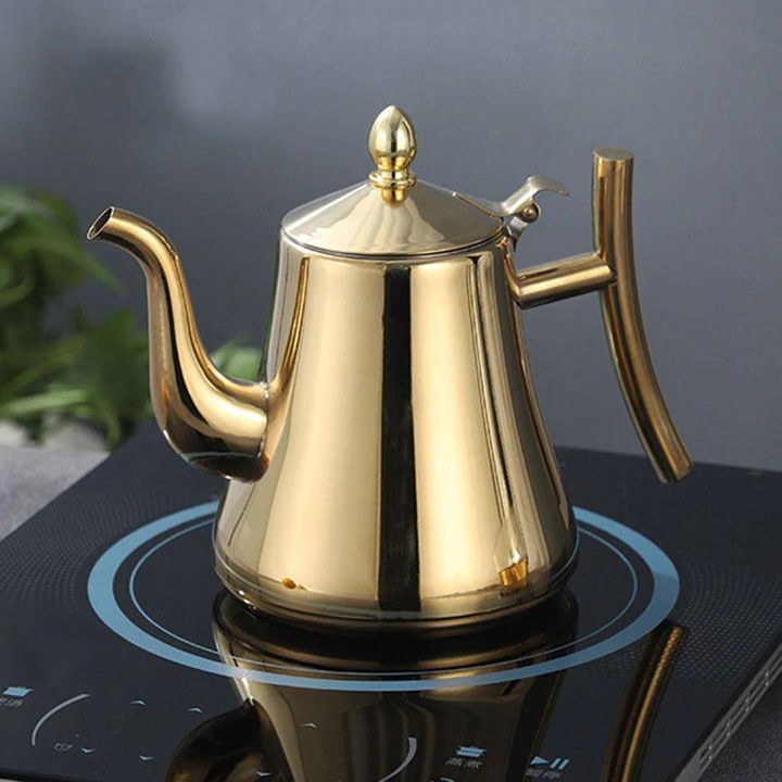 Elegant Stainless Steel Induction Kettle with Filter